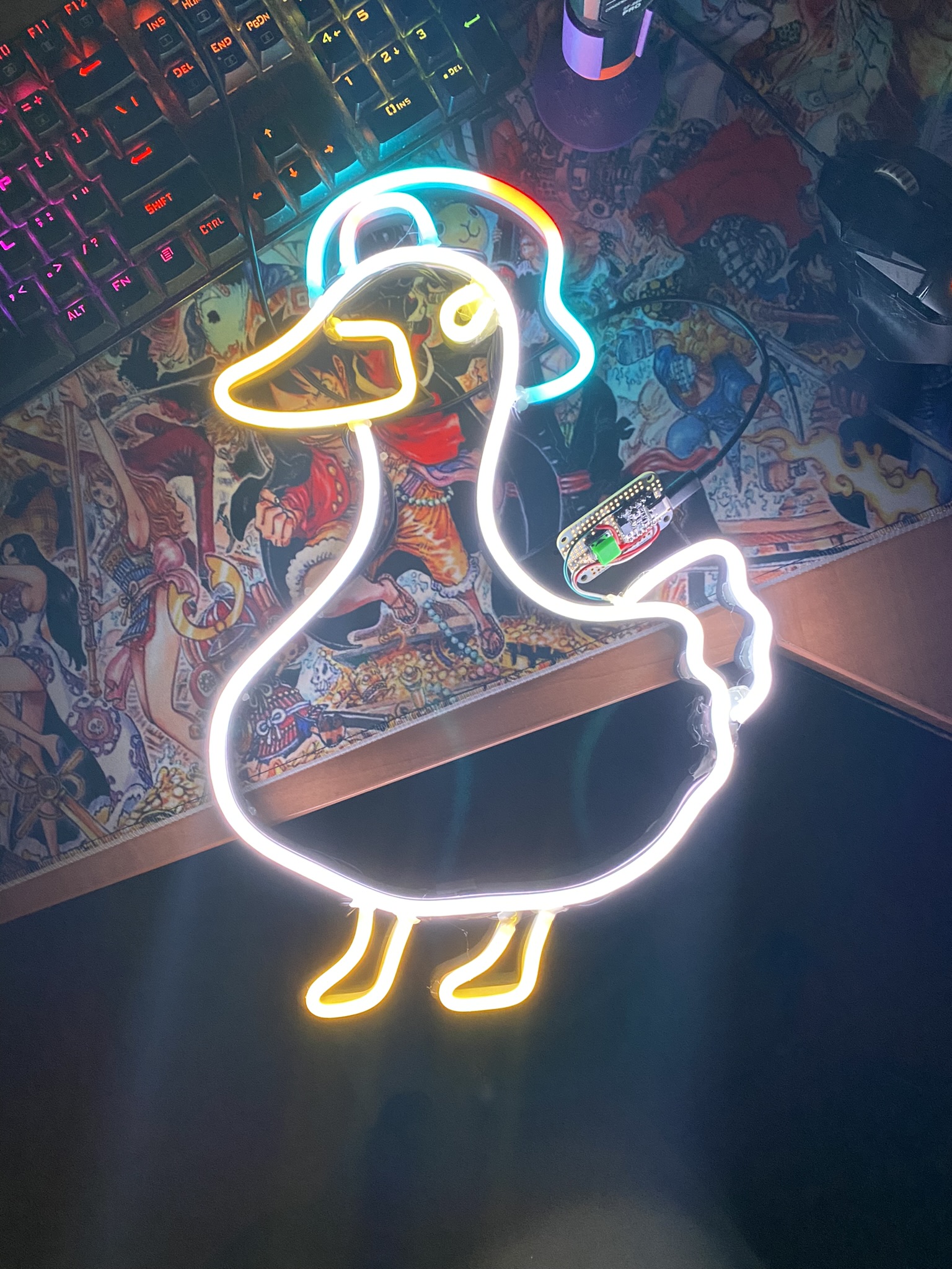 Neon LED Duck Shibuya